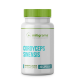 Cordyceps sinensis 650mg 30 Cápsulas